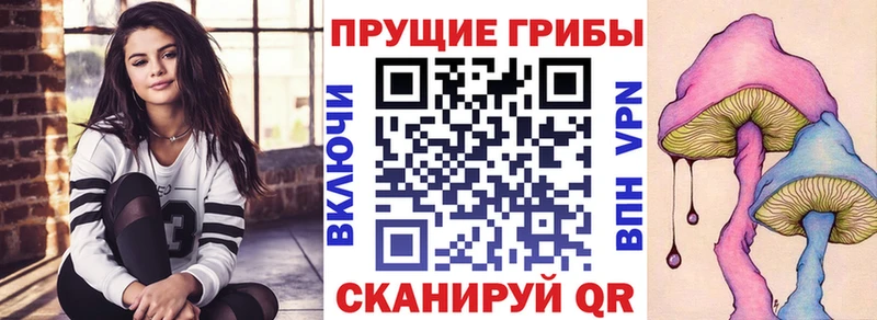 как найти закладки  Алдан  Галлюциногенные грибы MAGIC MUSHROOMS 